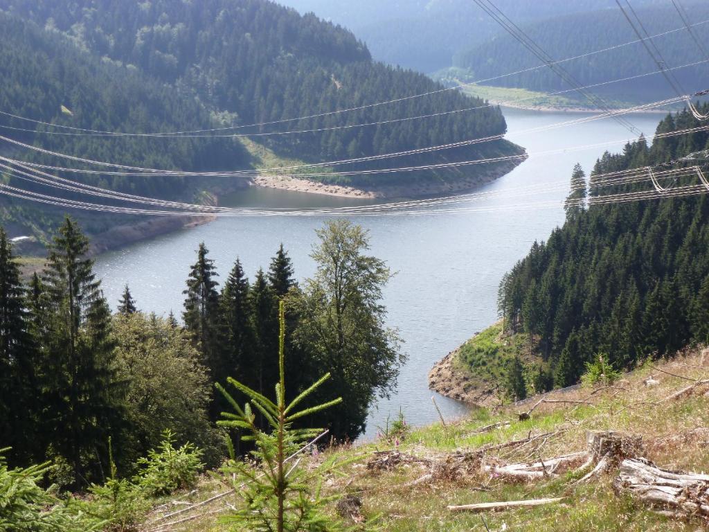 Flair-Hotel Waldfrieden Schwarzatal Экстерьер фото